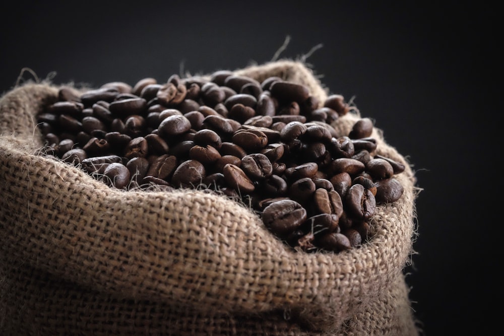 Office coffee beans medium roast